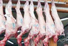 Επιστολή των Κτηνοτρόφων ΑΜΘ στον Υπουργό ΑΑΤ για την αποζημίωση των απορριφθέντων συκωταριών αμνοεριφίων