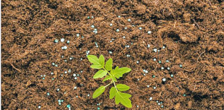 Λιπάσματα: Πώς «τρέχει» η επιδότηση 15% έως τον Αύγουστο – Ποιοι παίρνουν χρήματα και πώς