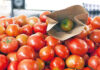 Τομάτες… «χόρτο» σε τιμές… χρυσού!