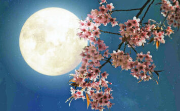 Πανσέληνος των Λουλουδιών: Πότε κάνει την εμφάνισή του το πιο ανοιξιάτικο φεγγάρι