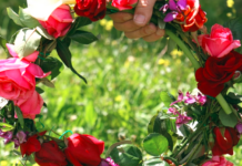 Πρωτομαγιά 2026: Έρχεται τριήμερο–δώρο! Τι ισχύει τελικά με την αργία