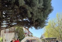 Με επιτυχία και μεγάλη συμμετοχή το «Stavroupoli Trail 2026» στην ορεινή Σταυρούπολη