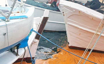 Το φαινόμενο της ερυθράς παλίρροιας στον Κόλπο της Καβάλας