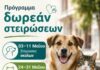 Συμμετοχή του Δήμου Αβδήρων σε δράση μαζικών στειρώσεων αδέσποτων ζώων συντροφιάς