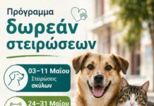 Συμμετοχή του Δήμου Αβδήρων σε δράση μαζικών στειρώσεων αδέσποτων ζώων συντροφιάς