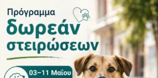 Συμμετοχή του Δήμου Αβδήρων σε δράση μαζικών στειρώσεων αδέσποτων ζώων συντροφιάς