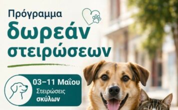 Συμμετοχή του Δήμου Αβδήρων σε δράση μαζικών στειρώσεων αδέσποτων ζώων συντροφιάς