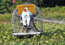 ΦΥΤΟΦΑΡΜΑΚΑ: Τα πραγματικά παράνομα και τα… «βαφτισμένα» παράνομα