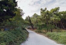 Μονοπάτια, κιόσκια και παγκάκια στο δασάκι του Πόρτο Λάγους