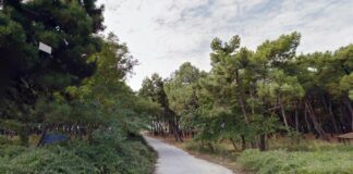 Μονοπάτια, κιόσκια και παγκάκια στο δασάκι του Πόρτο Λάγους