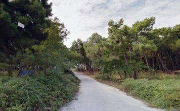 Μονοπάτια, κιόσκια και παγκάκια στο δασάκι του Πόρτο Λάγους