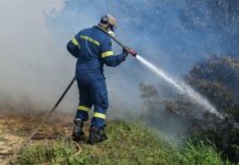 Επισημάνσεις της Πυροσβεστικής Υπηρεσίας, με αφορμή την έναρξη της αντιπυρικής περιόδου, απο 1η Μαΐου