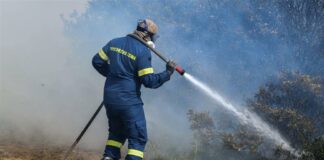 Επισημάνσεις της Πυροσβεστικής Υπηρεσίας, με αφορμή την έναρξη της αντιπυρικής περιόδου, απο 1η Μαΐου