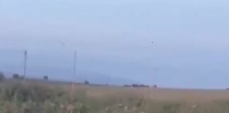 Προσοχή: Λύκος στην Εξοχή Ξάνθης (βίντεο)