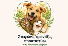 Σημαντικά αποτελέσματα από το πρόγραμμα στειρώσεων αδέσποτων