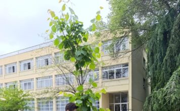 «Σύγχρονοι Άγιοι και Φυσικό Περιβάλλον» –Δράση δενδροφύτευσης στο Εκκλησιαστικό Γυμνάσιο Ξάνθης