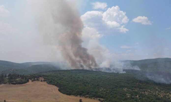 kilkis