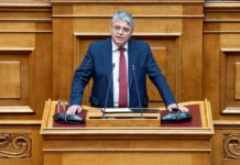 Η «προφητική» παρέμβαση Νατσιού για την έξαρση της βίας των ανηλίκων