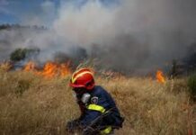 Η αμέλεια καίει την Ελλάδα – Πάνω από το 85% των πυρκαγιών οφείλονται στην απερισκεψία των πολιτών