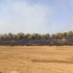 Μεγάλη φωτιά στην Μέλισσα Ξάνθης, σήμερα το απόγευμα (φωτό και βίντεο)