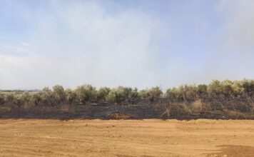 Μεγάλη φωτιά στην Μέλισσα Ξάνθης, σήμερα το απόγευμα (φωτό και βίντεο)