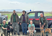 Δηλητηριασμένα δολώματα στη Θράκη: Η μάχη της ΕΠΒΘ για τη σωτηρία των μαυρόγυπων