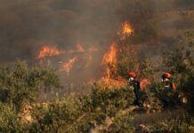 ΕΞΑΙΡΕΤΙΚΑ επικίνδυνες συνθήκες για πυρκαγιές – Ισχυρή σύσταση απο την Πυροσβεστική Ν. Ξάνθης