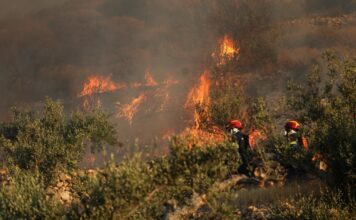 ΕΞΑΙΡΕΤΙΚΑ επικίνδυνες συνθήκες για πυρκαγιές – Ισχυρή σύσταση απο την Πυροσβεστική Ν. Ξάνθης
