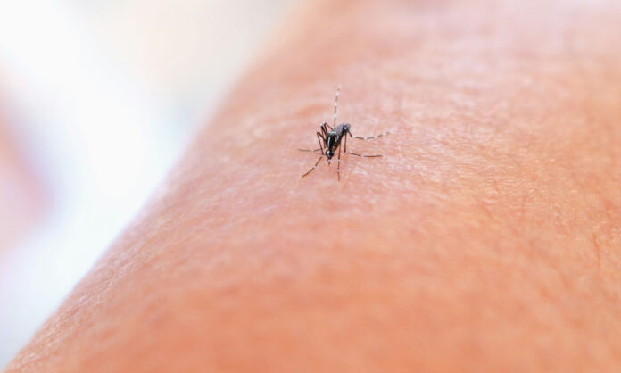 aad5-national-institute-of-allergy-and-infectious-diseases-oxh6zudw-gg-unsplash