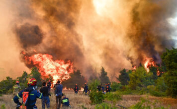 Πάνω από 400 πυρκαγιές σε 10 ημέρες στην Ελλάδα – «Το 90% είναι από αμέλεια», λέει ο Τουρνάς