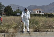 Ιός Δυτικού Νείλου: Συναγερμός για τα κρούσματα στη χώρα – Πώς να προφυλαχτείτε, ποια είναι τα συμπτώματα