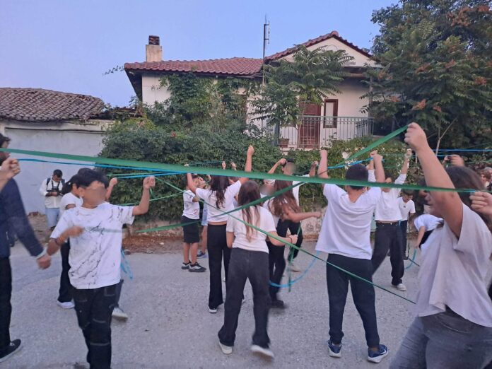avdira (3)