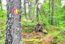 Δράση συντήρησης ορεινού μονοπατιού από τον ΕΟΣ Ξάνθης