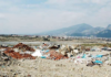 Συνεχίζουν να ρίχνουν σκουπίδια στον Κόσυνθο -Έκκληση του ΕΒΕ Ξάνθης στα μέλη του