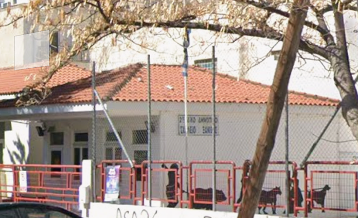 stilianidoy (2)